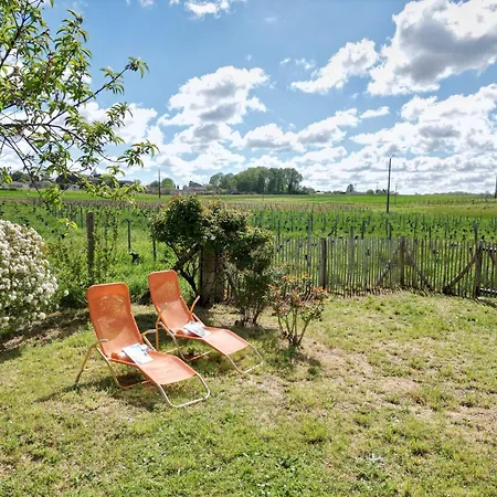 Charmante Maison Avec Piscine Au Coeur Des Vignes